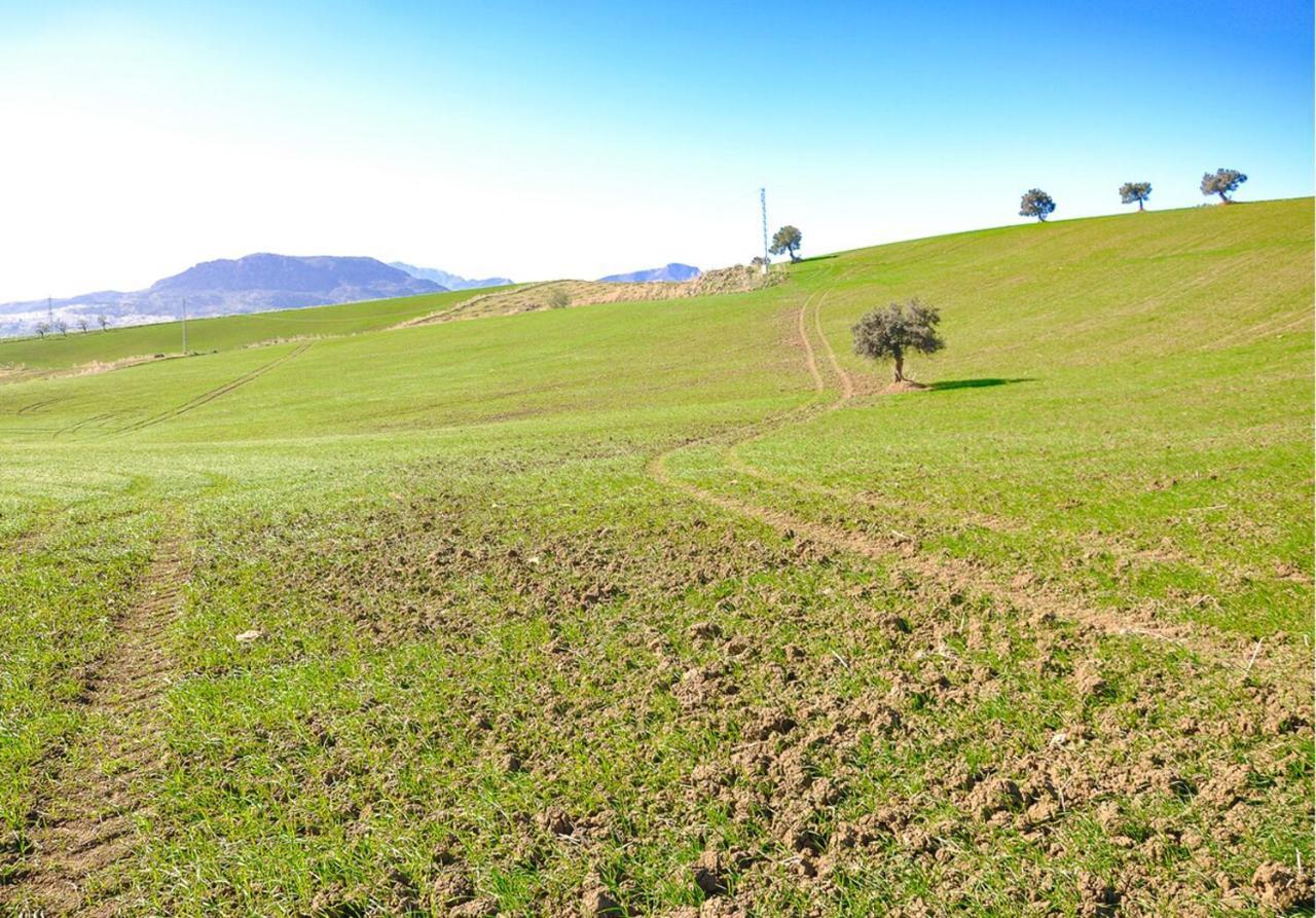 Cortijo Las Caballerias Álora Eksteriør billede